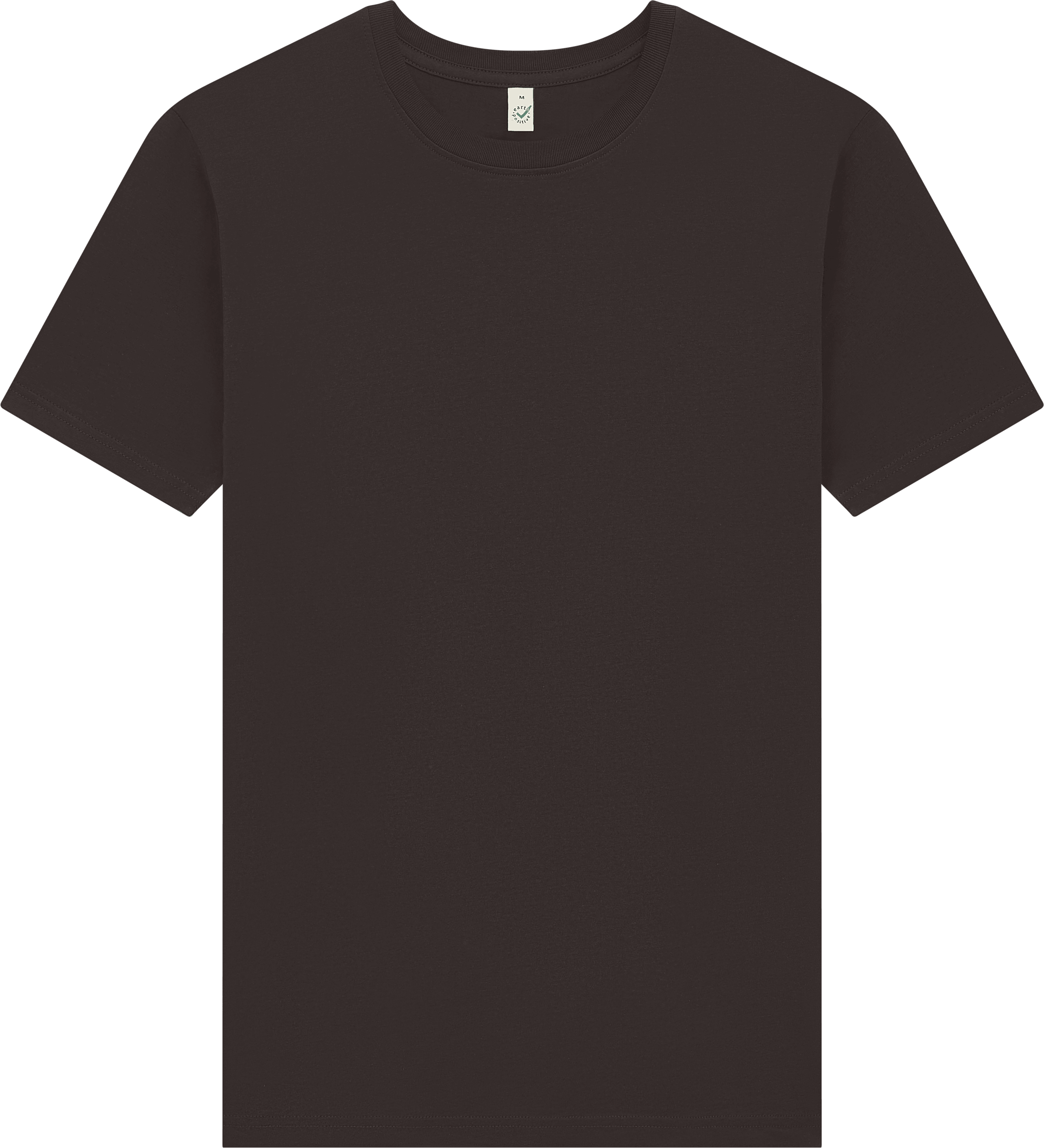 Earth Positive Premium Jersey T-shirt EP185 in Brown