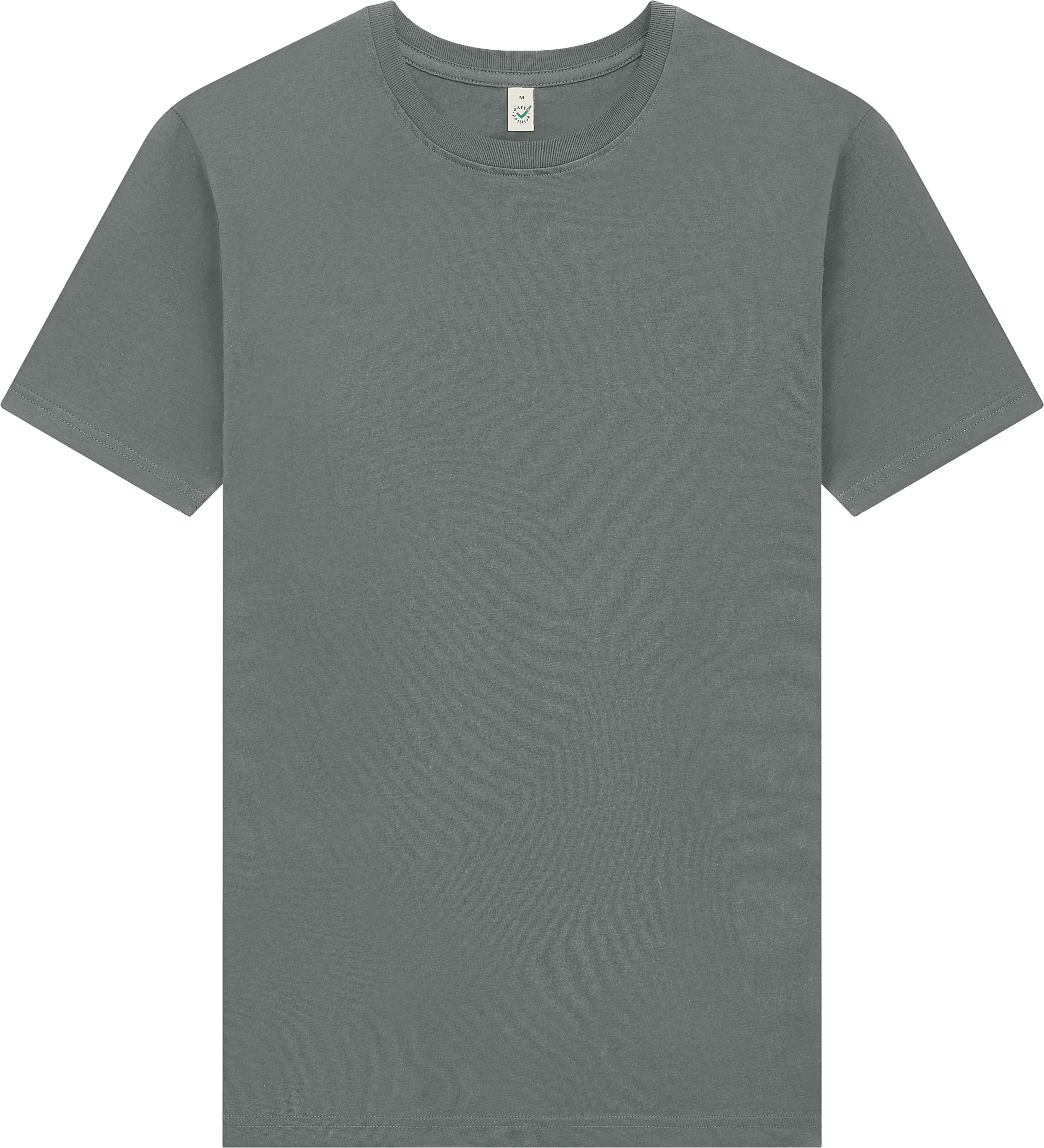 Earth Positive Premium Jersey T-shirt EP185 in Dark Heather