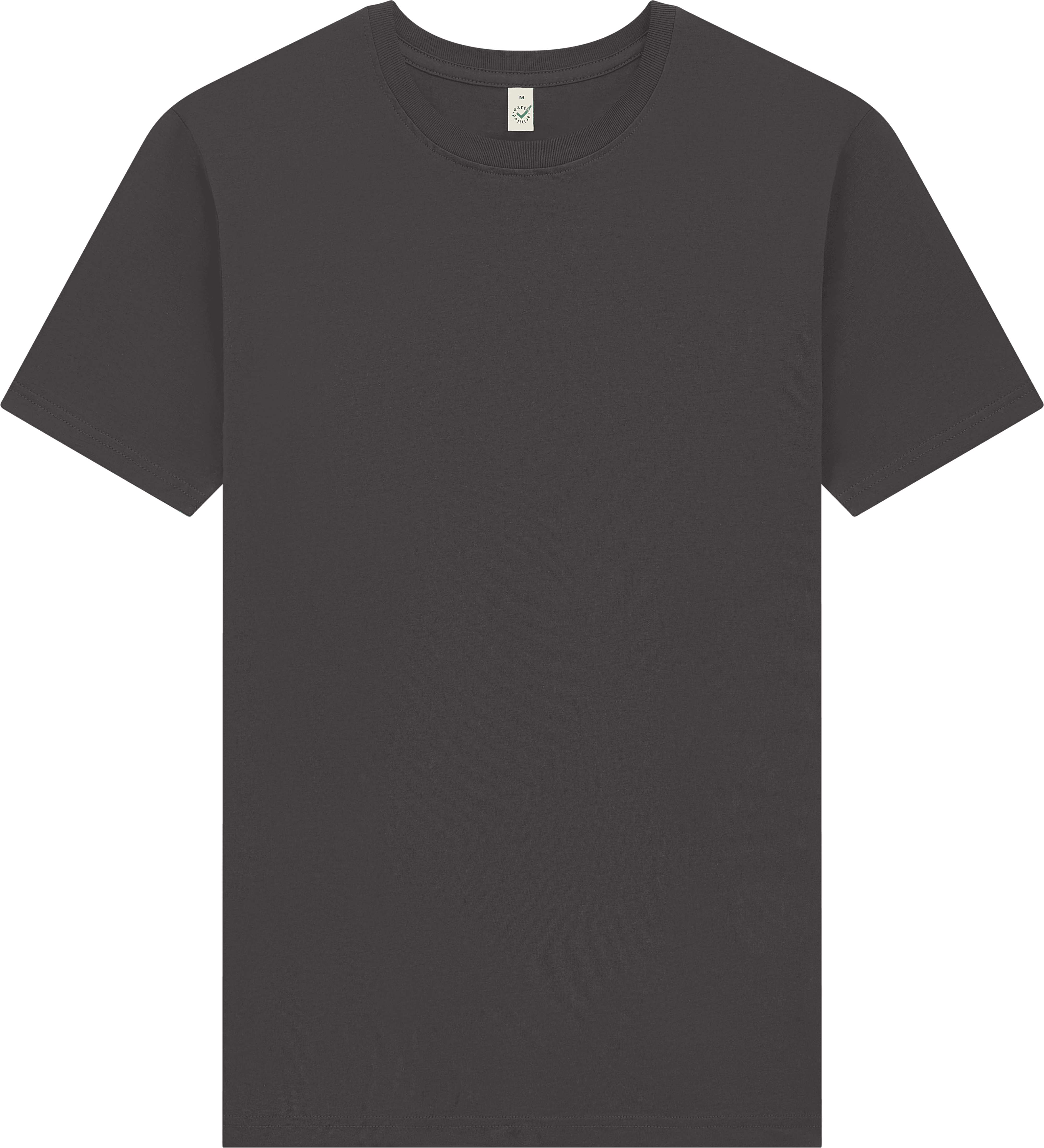 Earth Positive Premium Jersey T-shirt EP185 in Faded Black Deep Grey