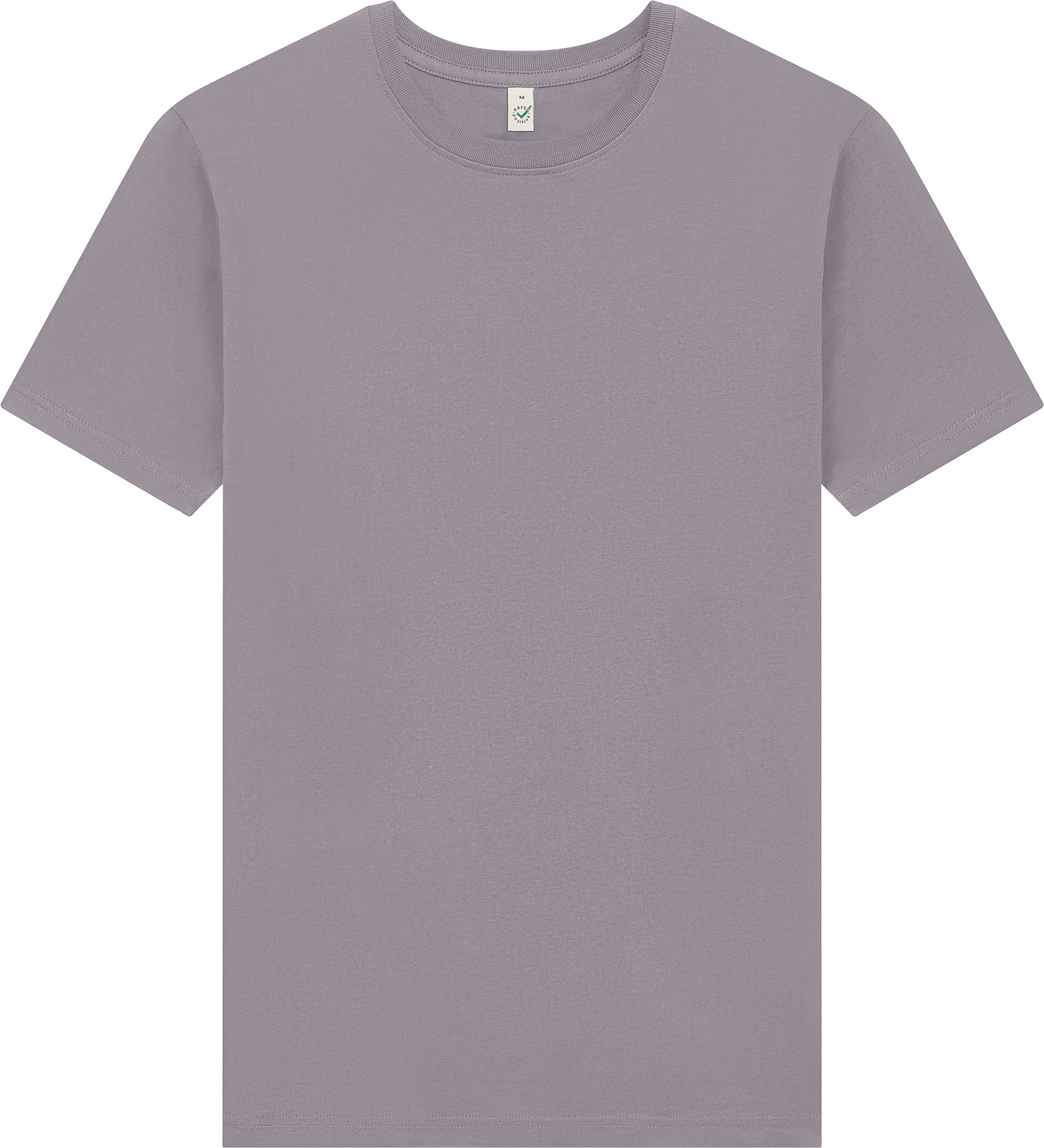 Earth Positive Premium Jersey T-shirt EP185 in Faded Purple Haze
