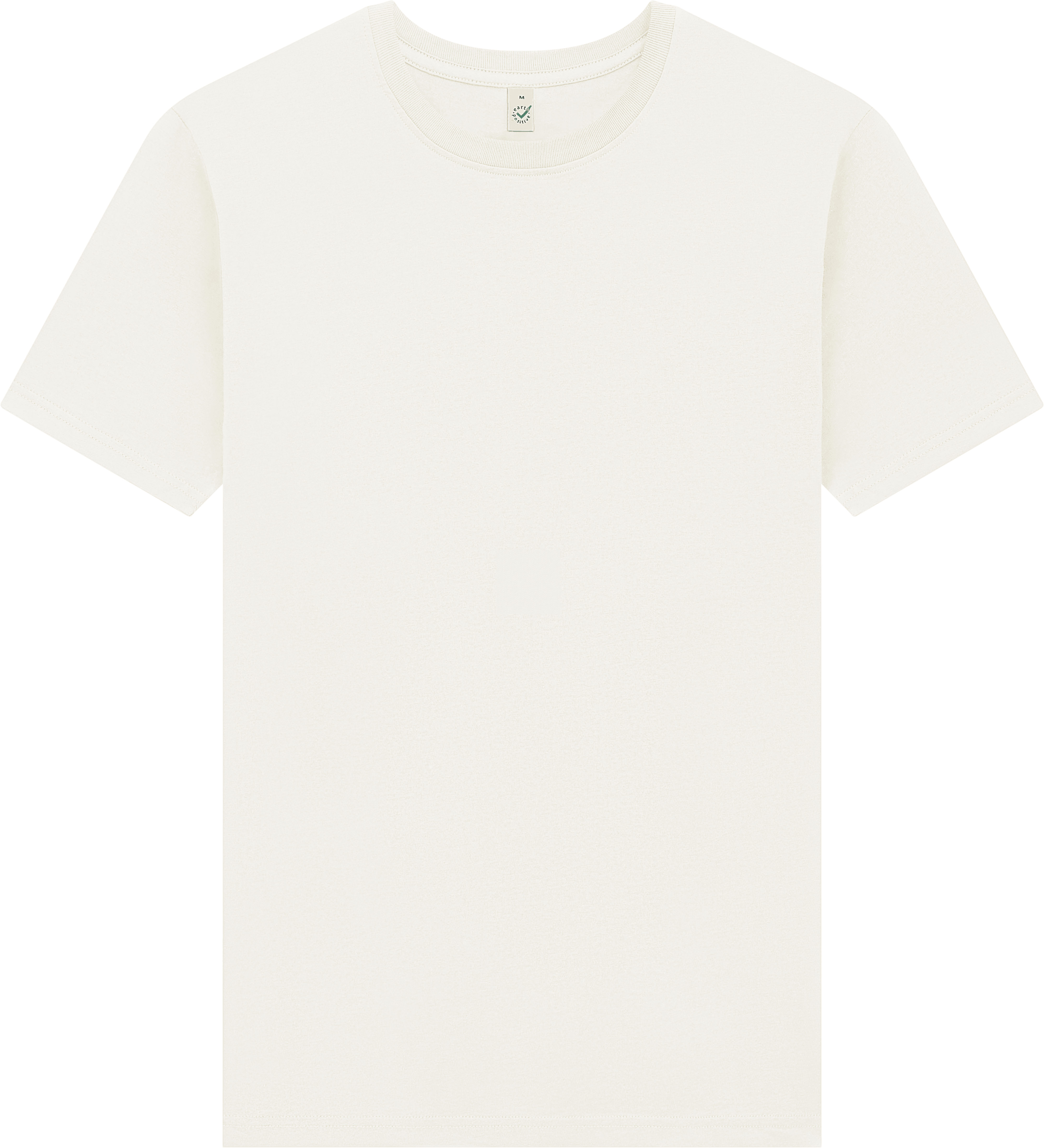 Earth Positive Premium Jersey T-shirt EP185 in RFD (Ready for Dye)