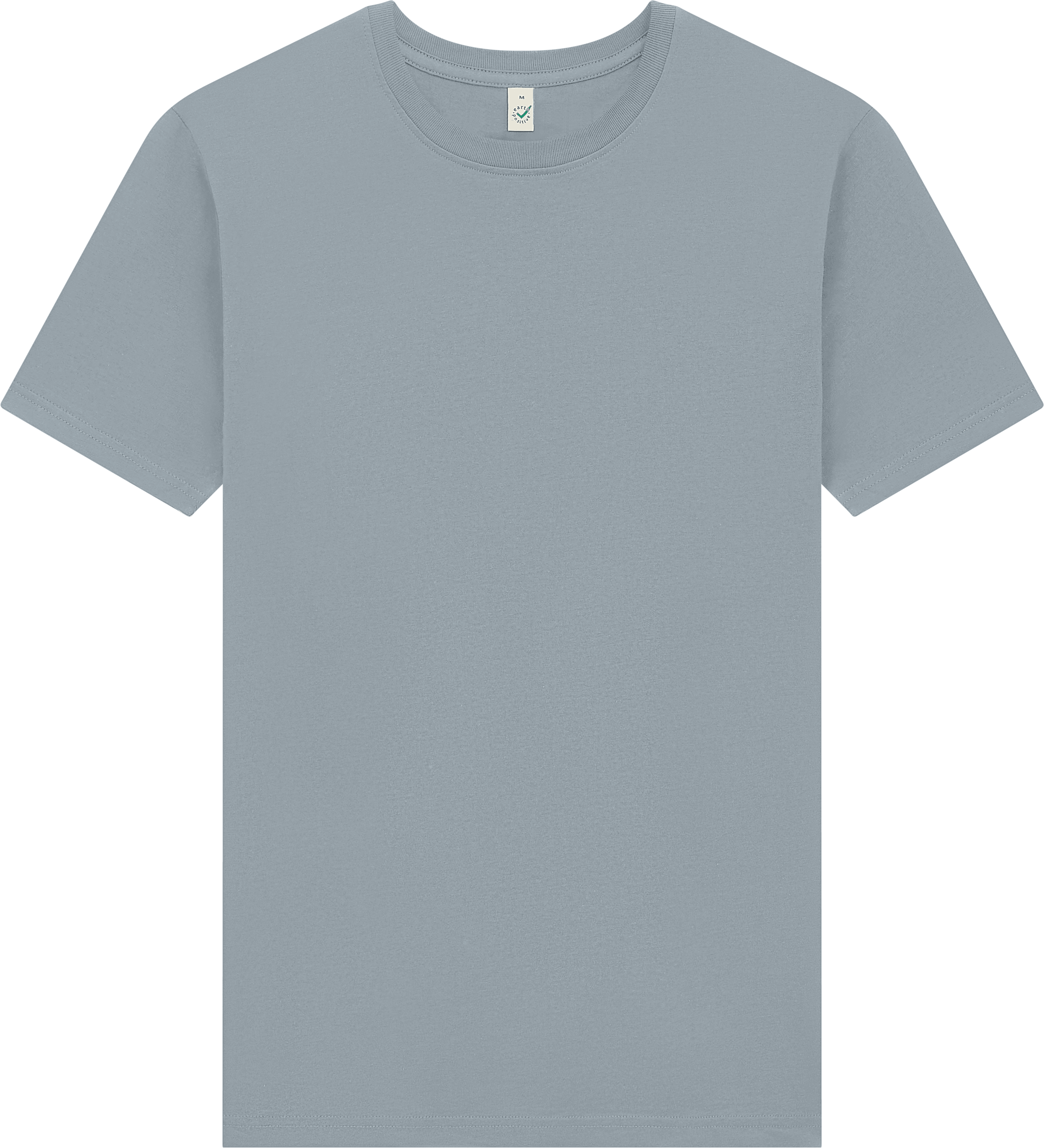 Earth Positive Premium Jersey T-shirt EP185 in Sport Grey
