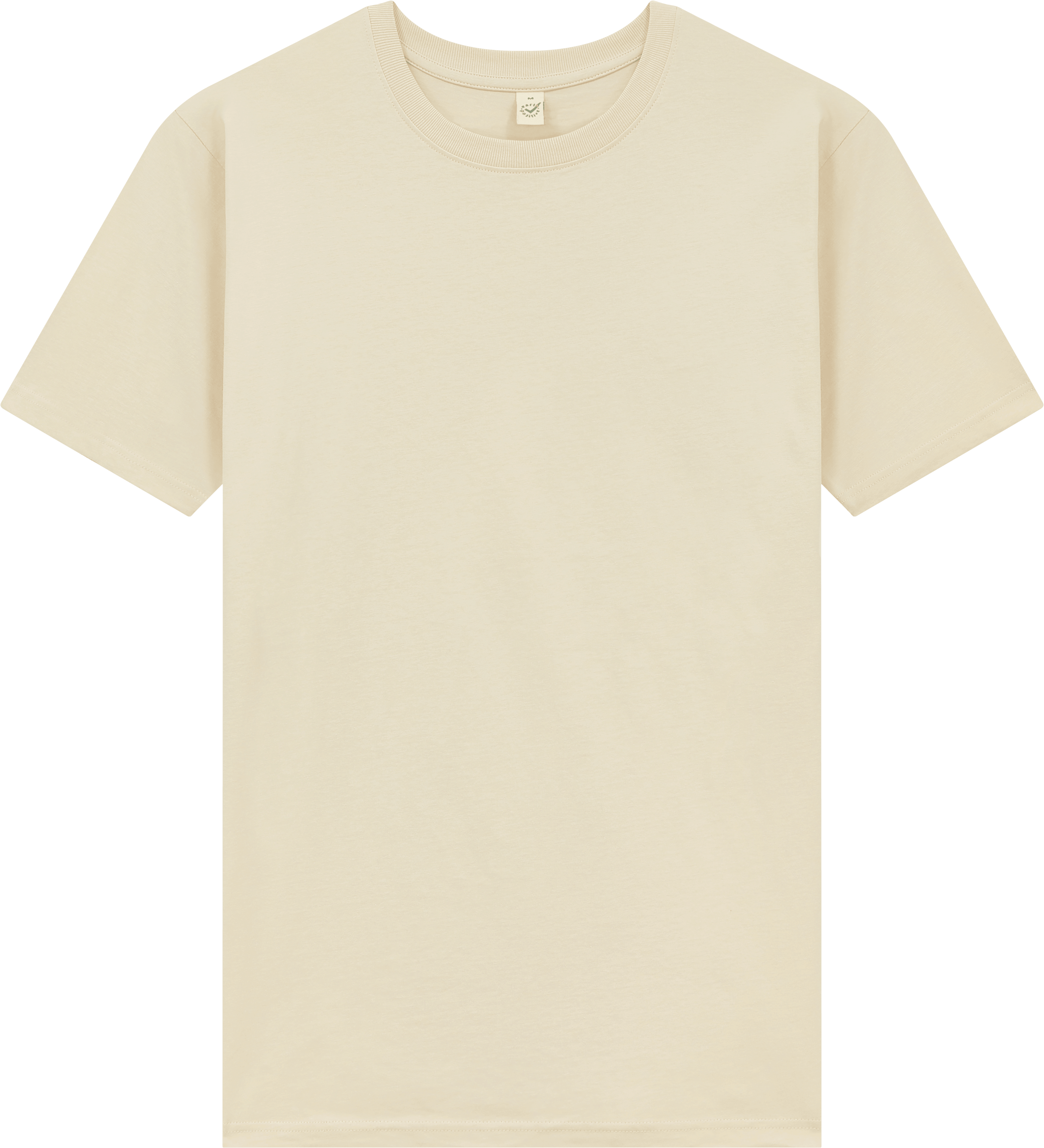 Earth Positive Oversized T-shirt EP19 in Bone