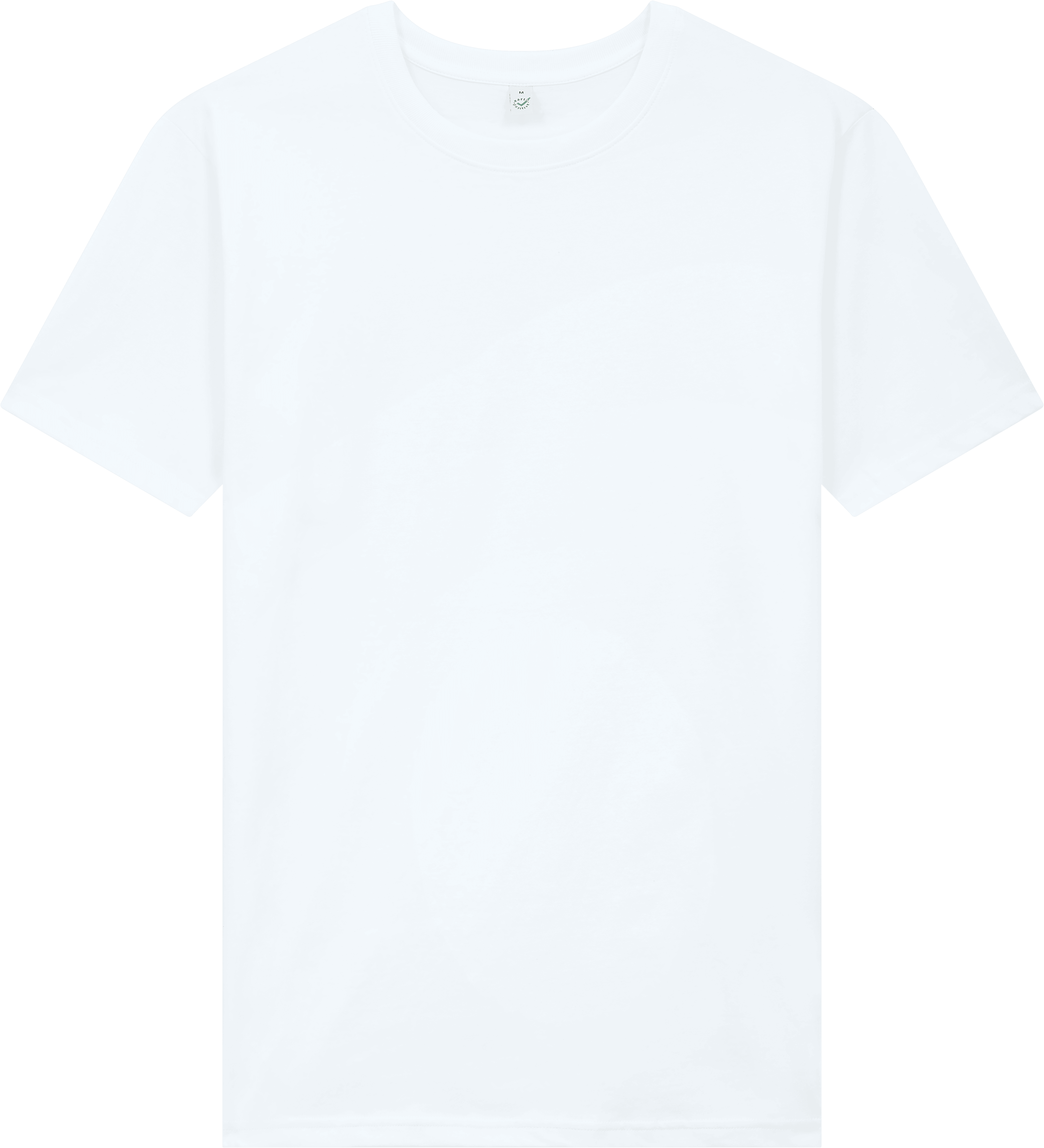 Earth Positive Oversized T-shirt EP19 in White