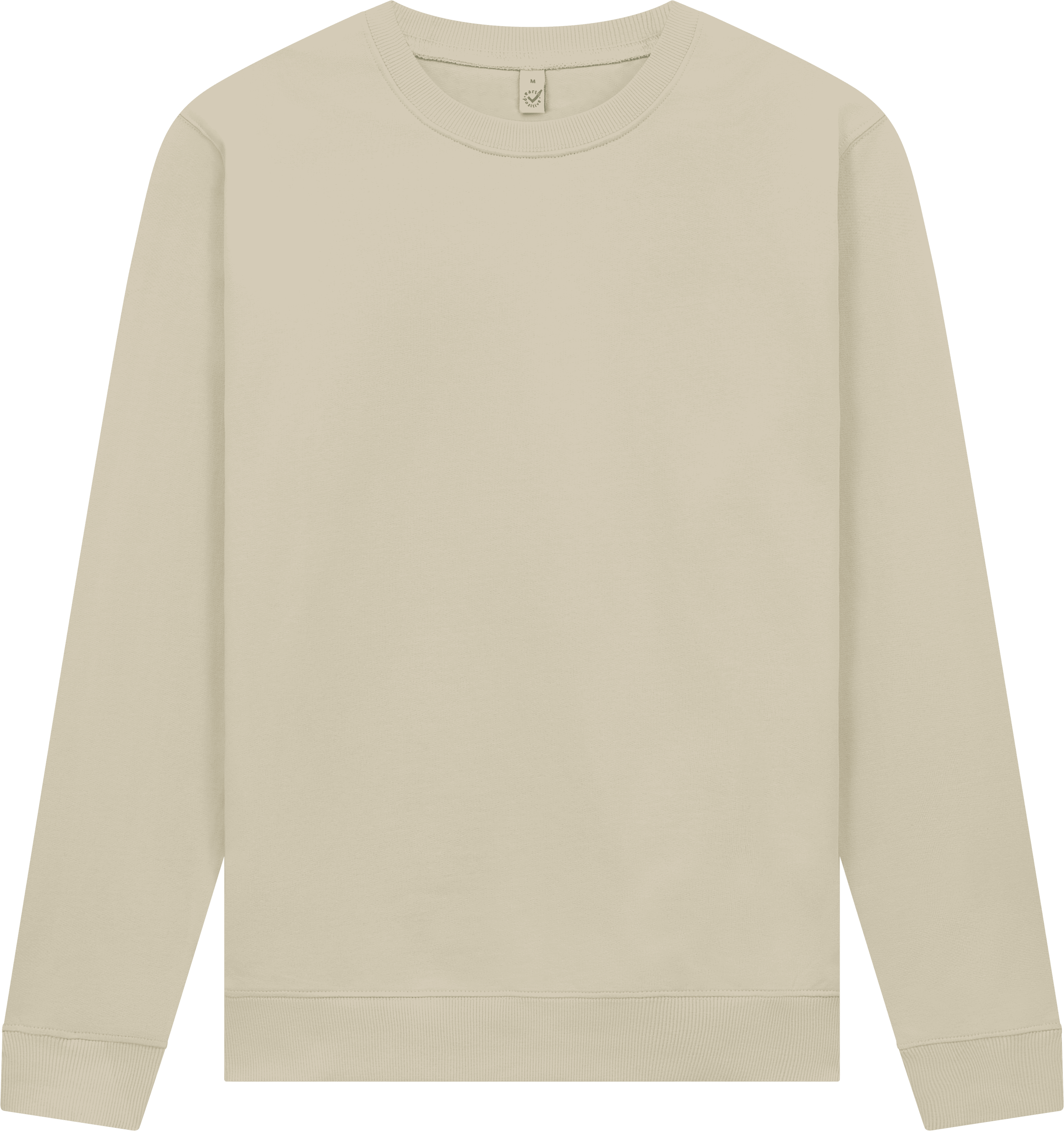 Earth Positive Sweatshirt EP302 in Bone