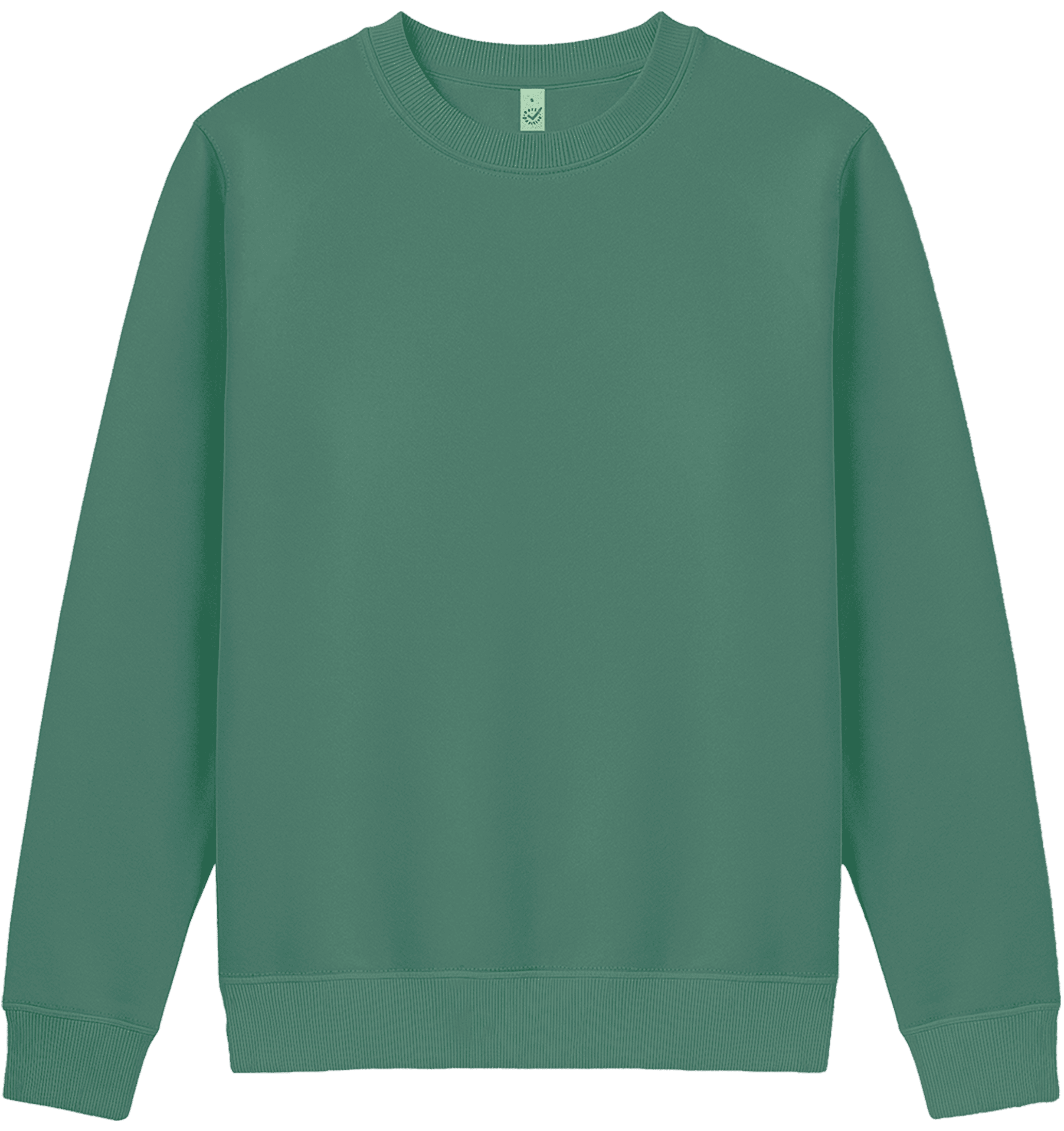 Earth Positive Women's Crew Neck Sweatshirt EP319 in Sage Green