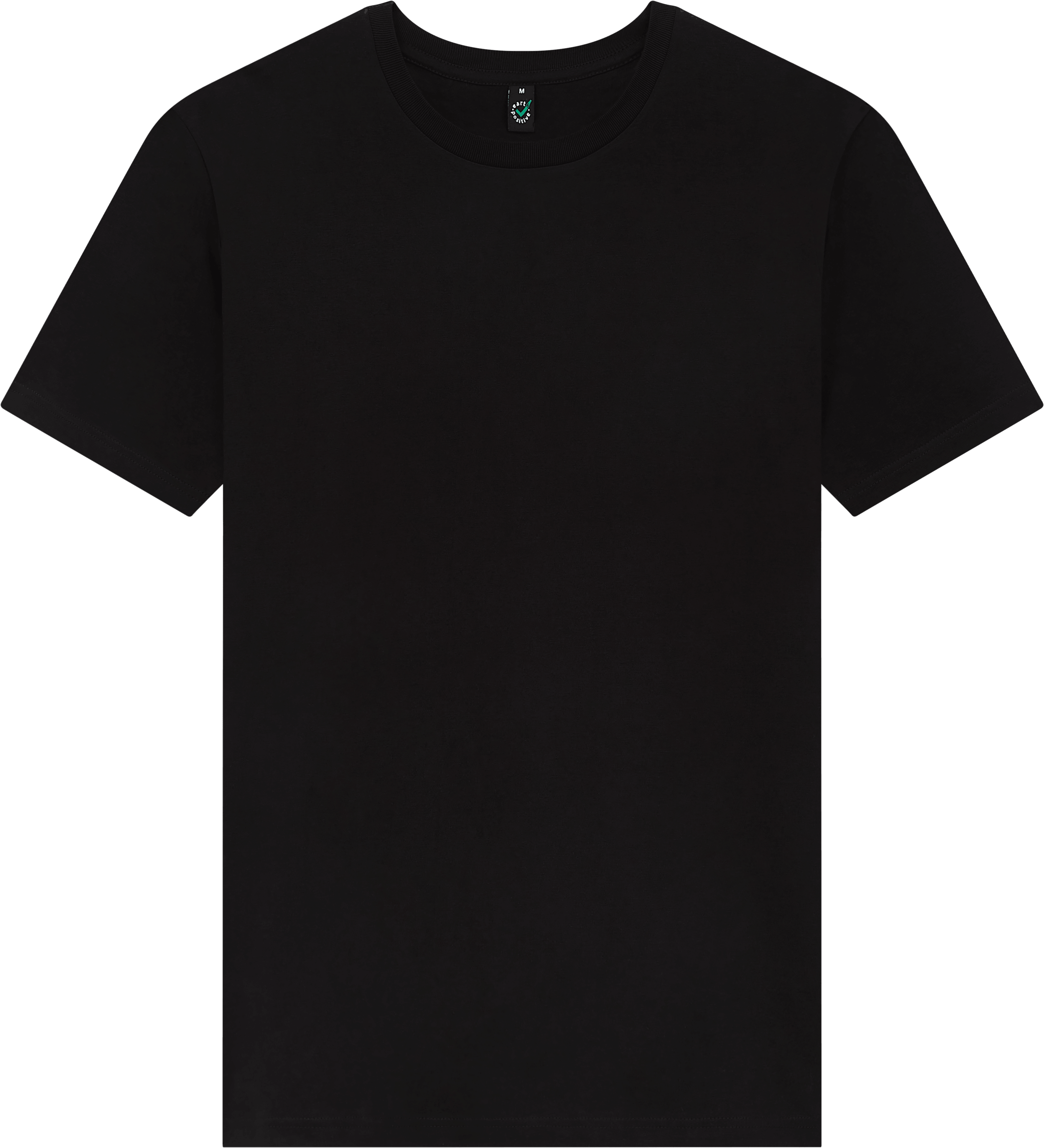 Earth Positive Heavy Jersey T-shirt EP38 in Black